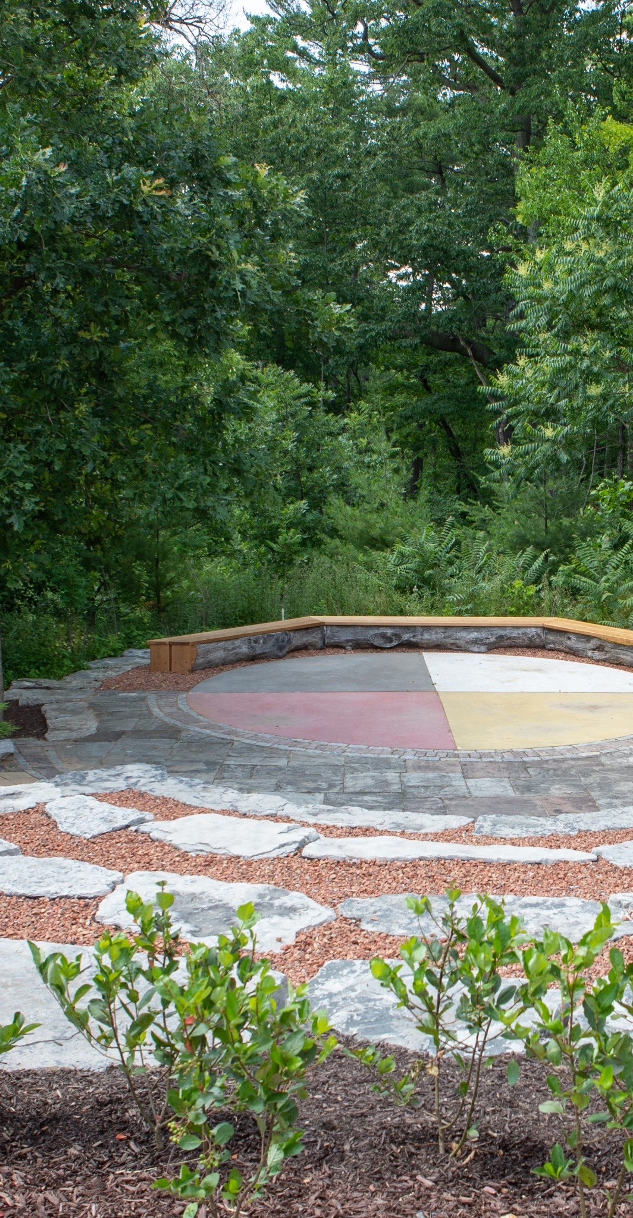 Indigenous Circle with Coote's Paradise in the background