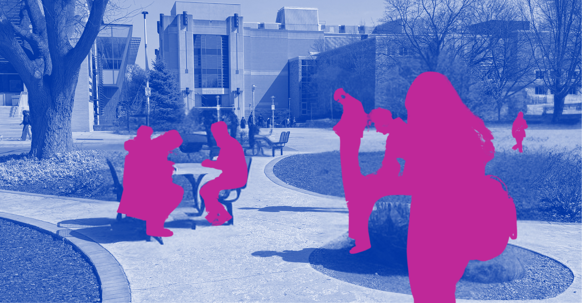 A photo of the soundwalk, anonymized