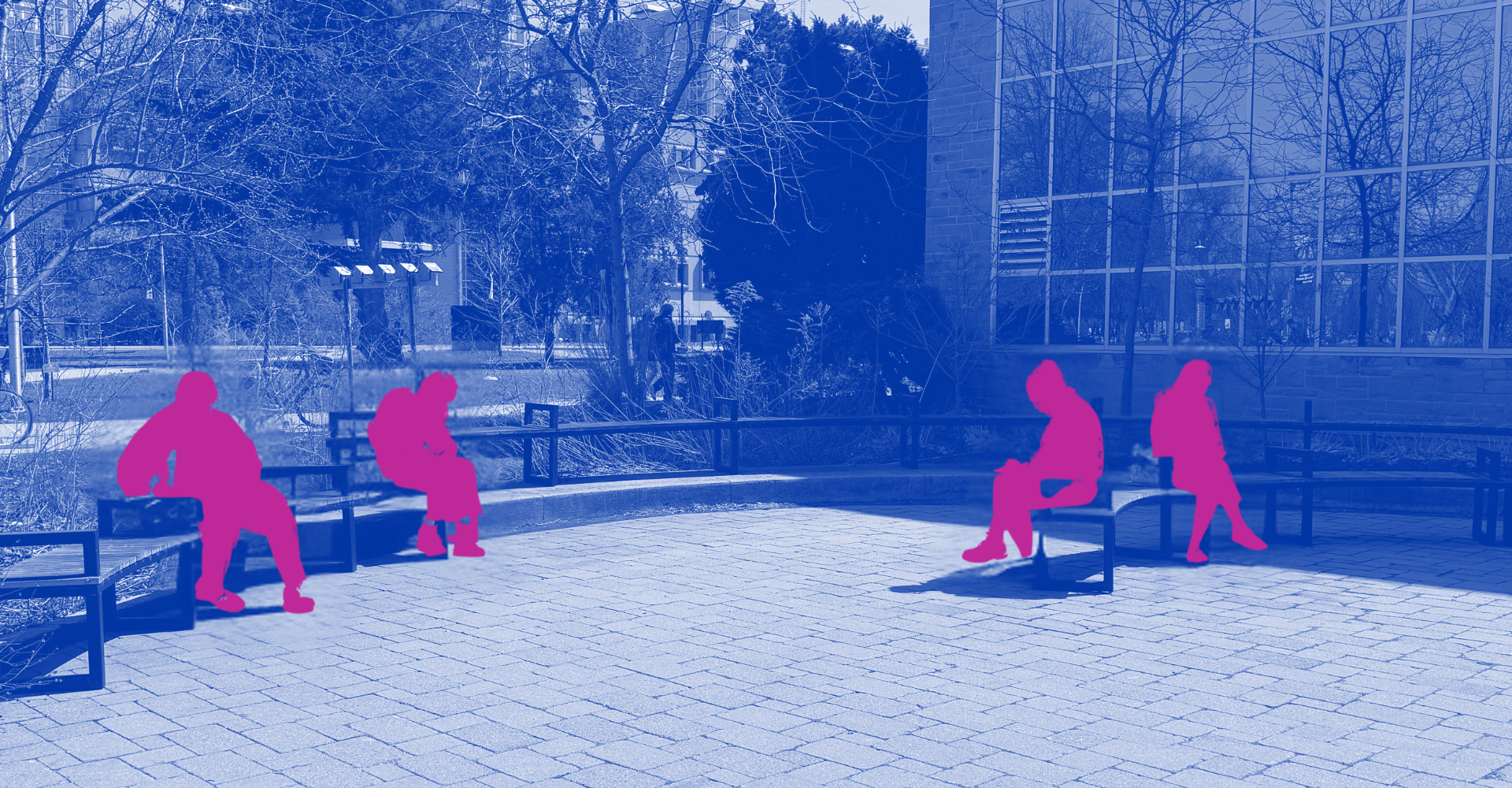 Photo of the soundwalk, anonymized