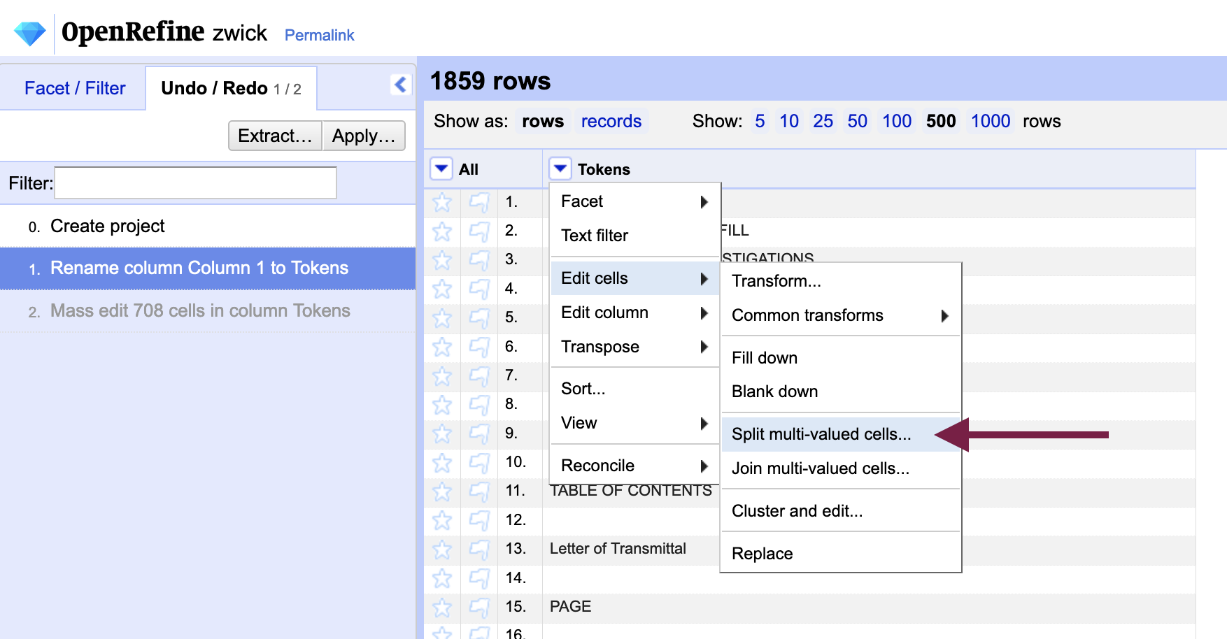 splitting rows with multiple words